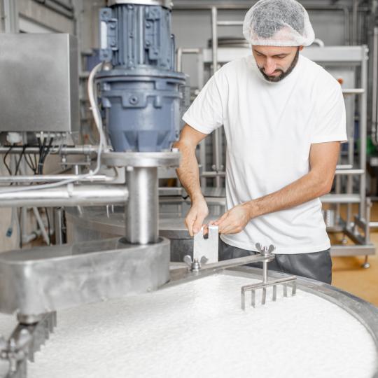 Male dairy factory worker prepares cheese